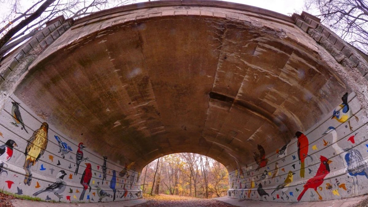 Secret-Paths-Of-Columbus8217-Ravines secret-paths-of-columbus-ravines
