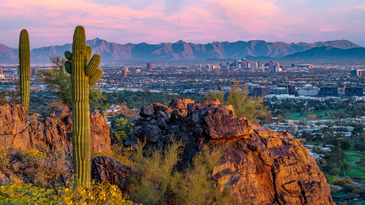 Secret-Paths-Of-The-Phoenix-Desert secret-paths-of-the-phoenix-desert