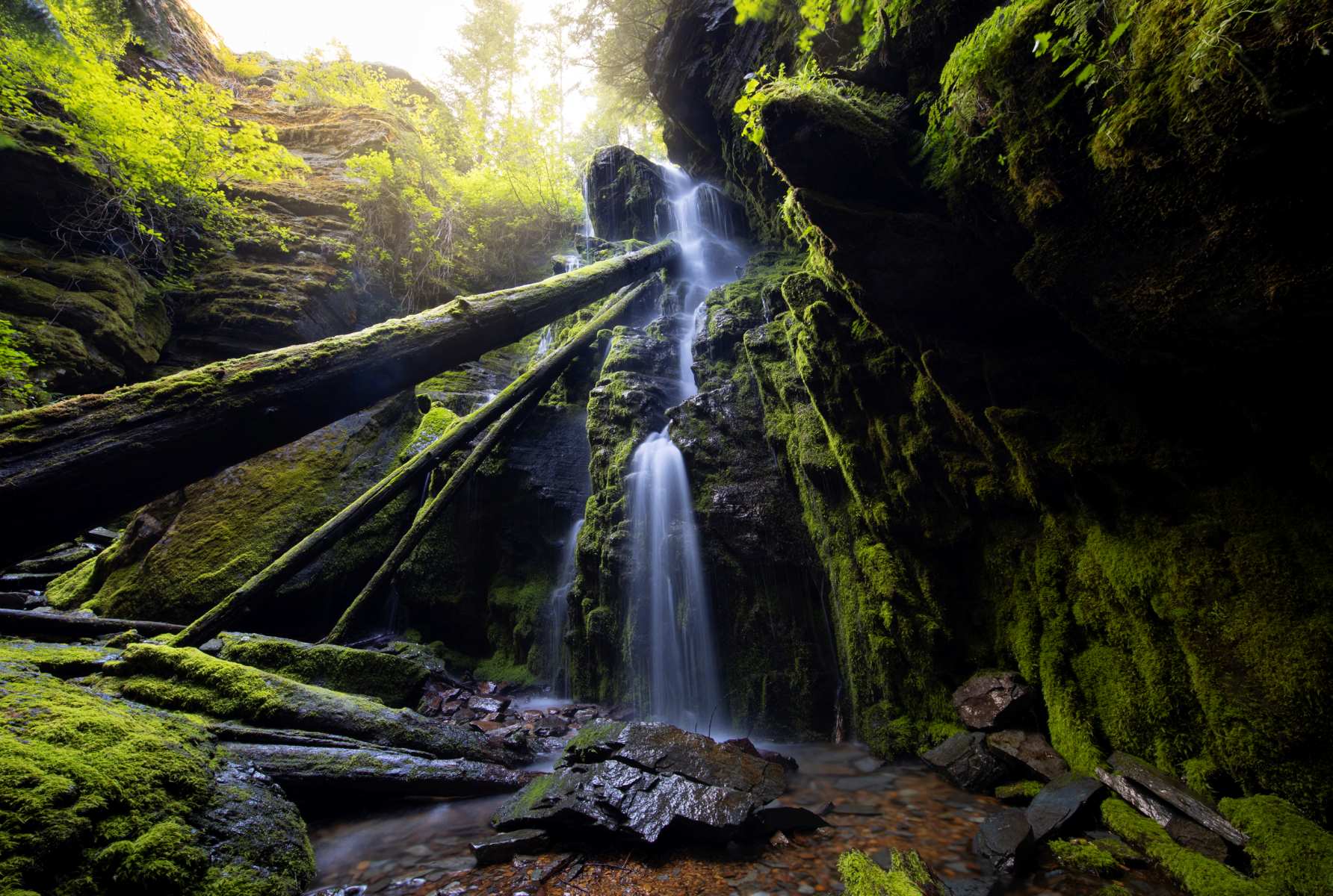 secret-paths-of-wallace-idaho