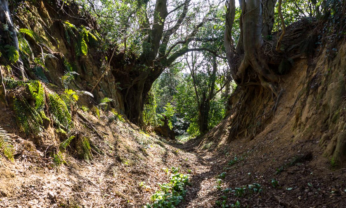 Secret-Paths-Sunken-Lanes-Of-New-England secret-paths-sunken-lanes-of-new-england