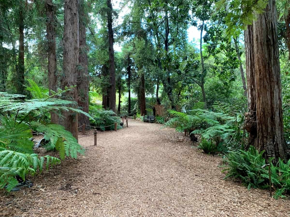 Secret-Pathway-In-Los-Angeles secret-pathway-in-los-angeles
