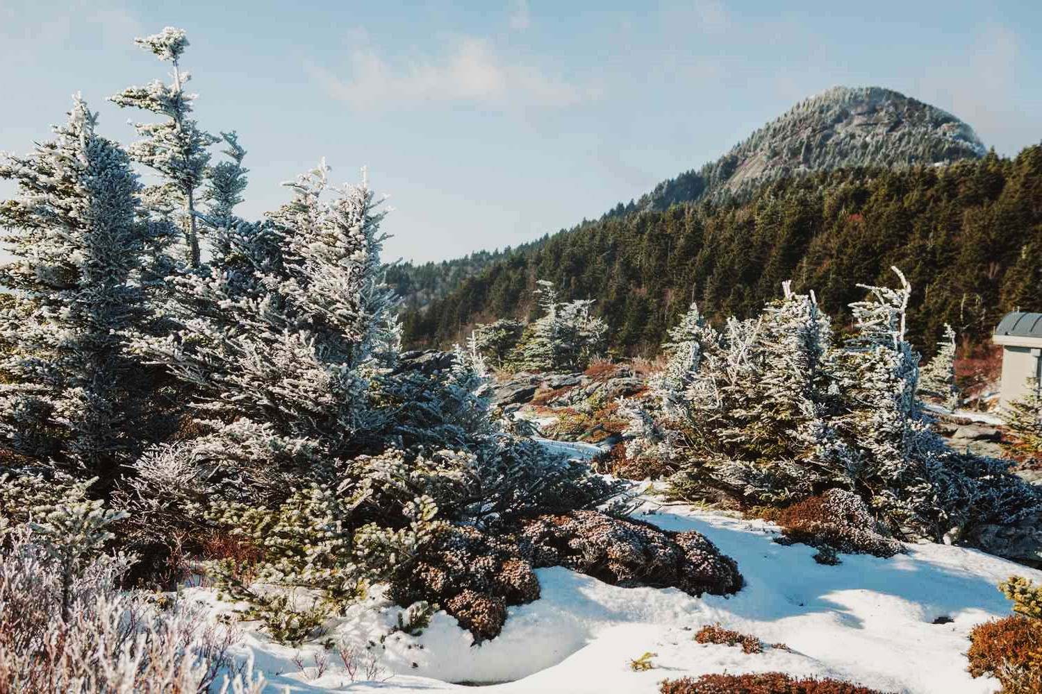 Secret-Trails-In-Boone-North-Carolina secret-trails-in-boone-north-carolina