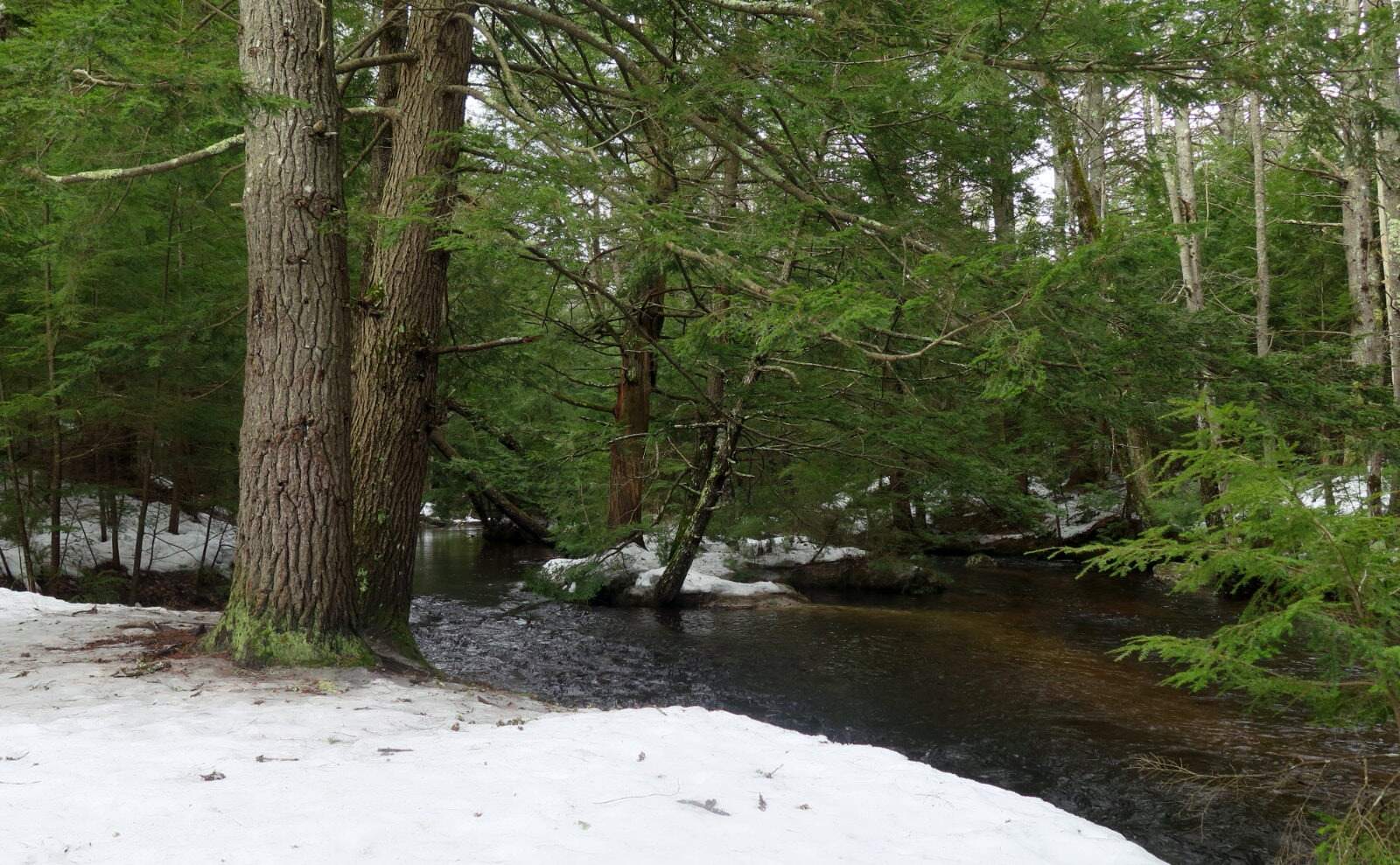 secret-trails-of-bear-brook-state-park-near-concord