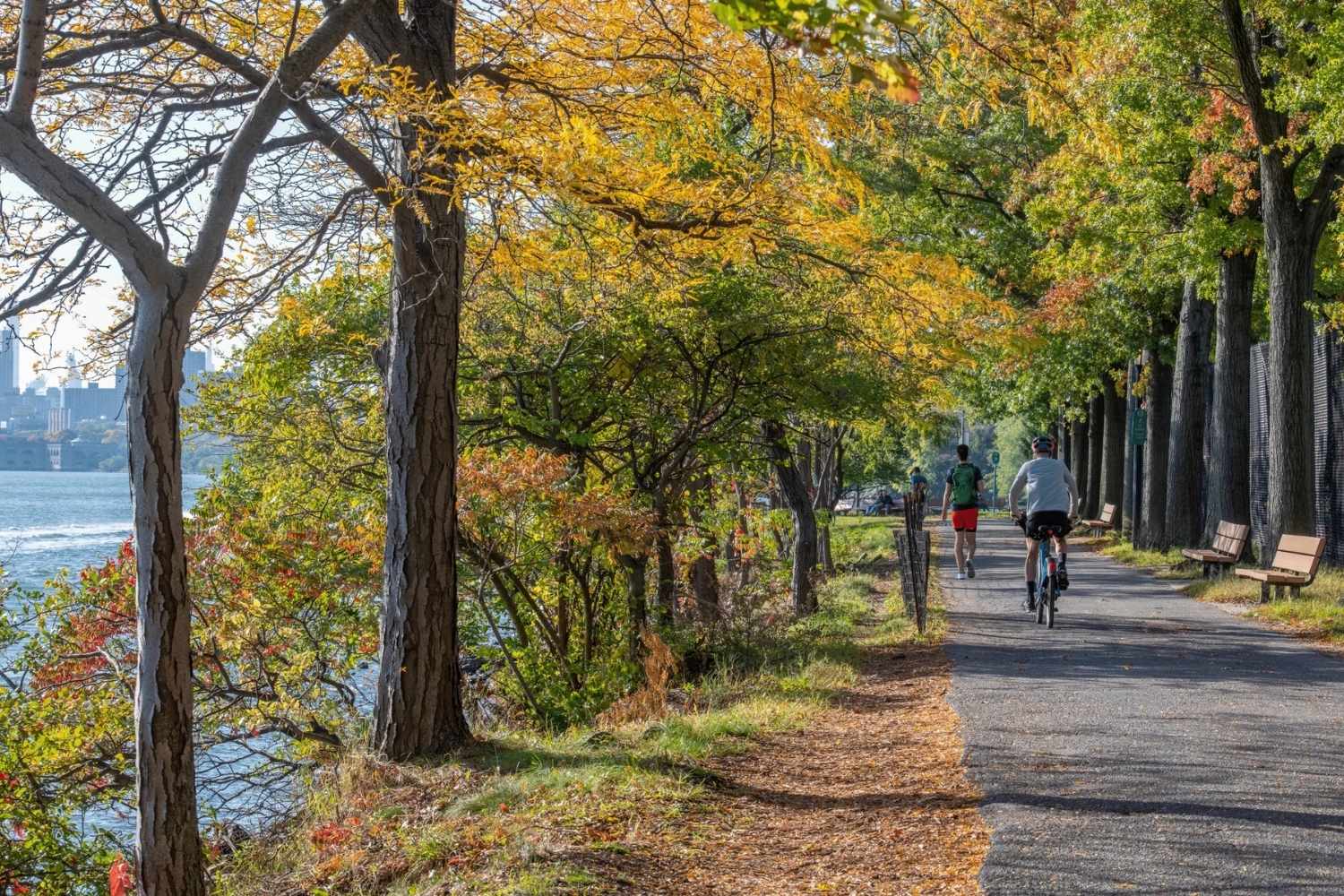 secret-trails-of-new-york-parks