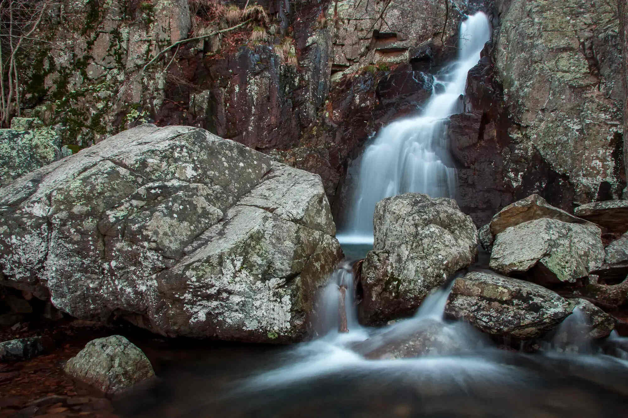 secret-trails-of-st-louis-forests