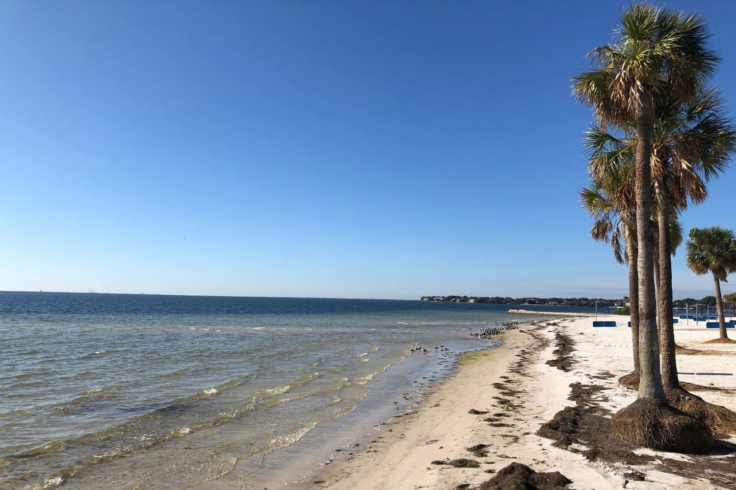 Secret-Trails-Of-St.-Petersburg-Beaches secret-trails-of-st-petersburg-beaches