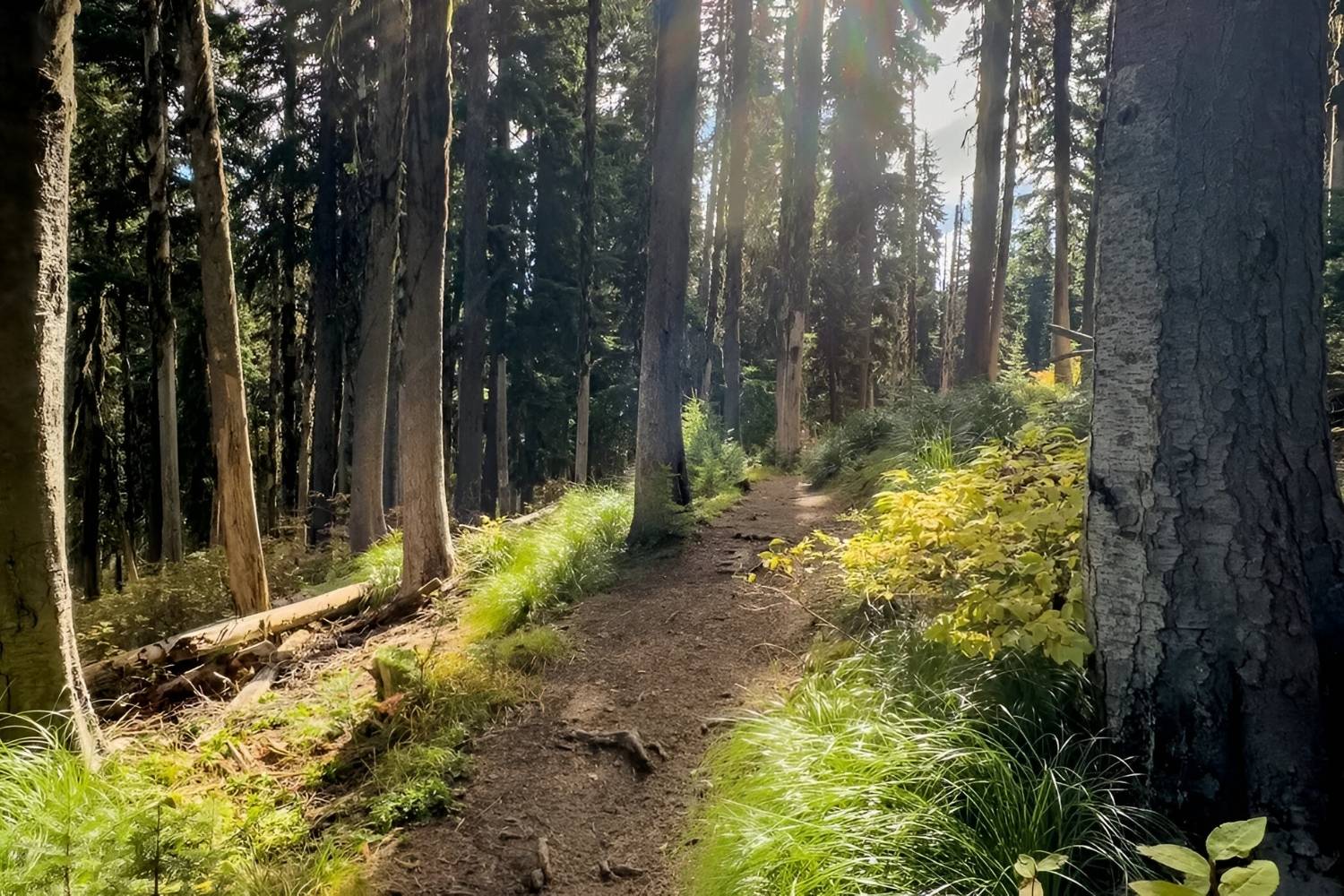 secret-trails-of-wallace-idaho