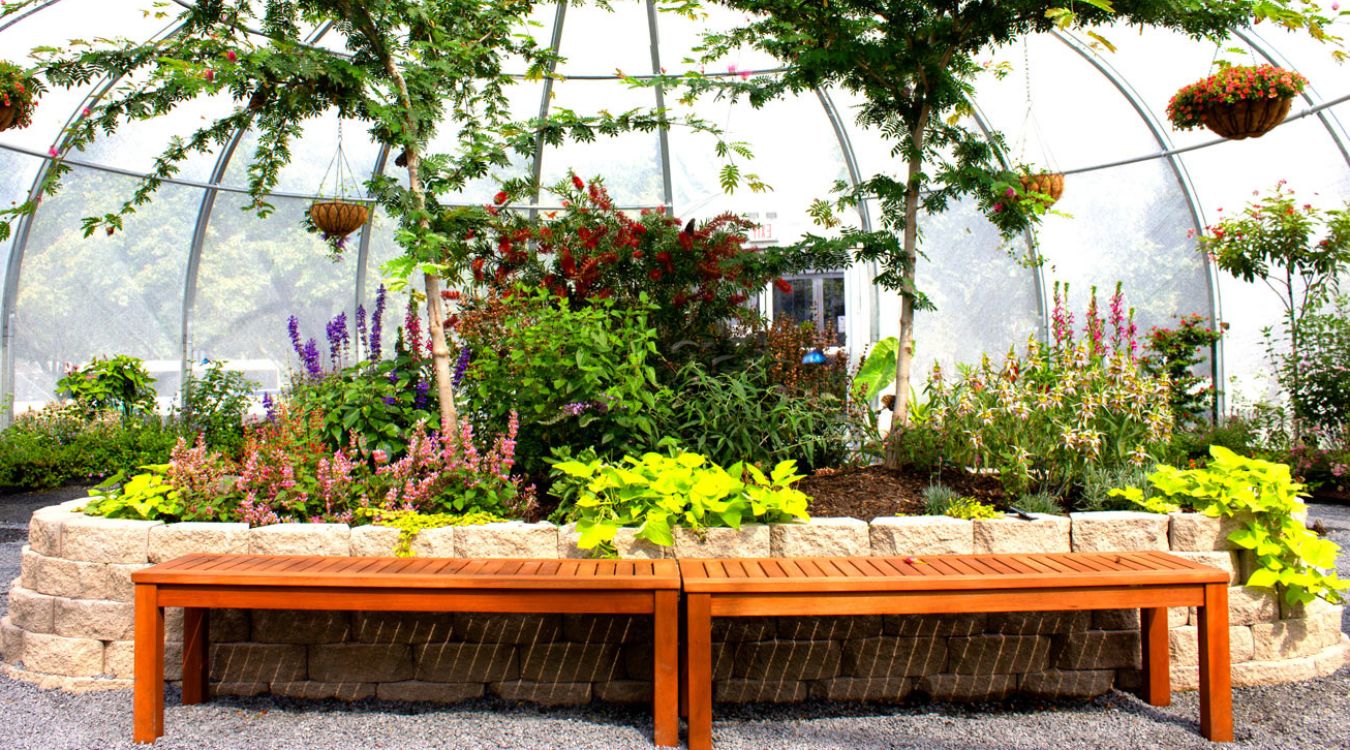 secret-tropical-butterfly-houses-in-chicago