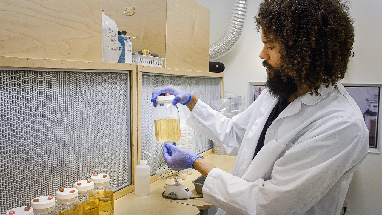 Secret-Underground-Fungal-Mycelium-Research-Labs-Hidden-Mushroom-Network-Study-Centers secret-underground-fungal-mycelium-research-labs-hidden-mushroom-network-study-centers