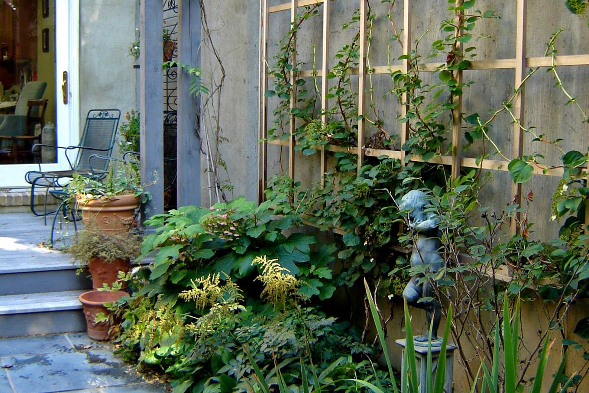 secrets-of-baltimores-row-house-gardens