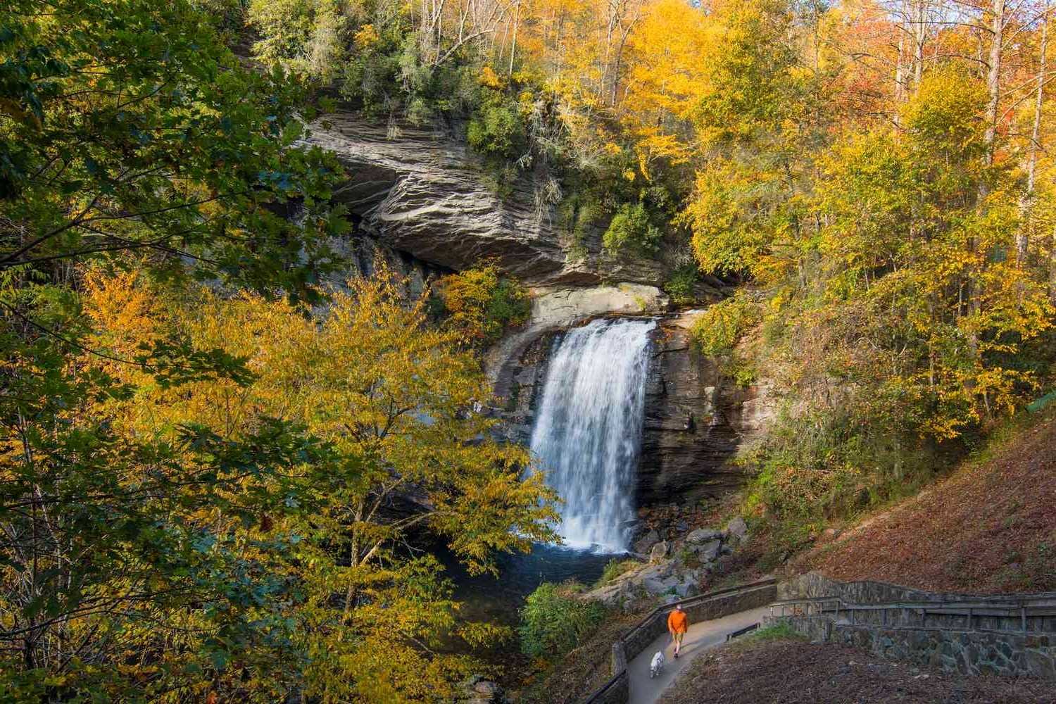 secrets-of-brevards-enigmatic-forests