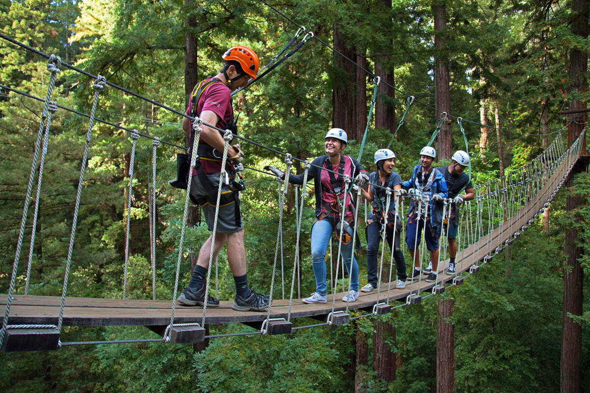 Secrets-Of-California8217s-Redwood-Canopy-Tours-Treetop-Adventures secrets-of-californias-redwood-canopy-tours-treetop-adventures