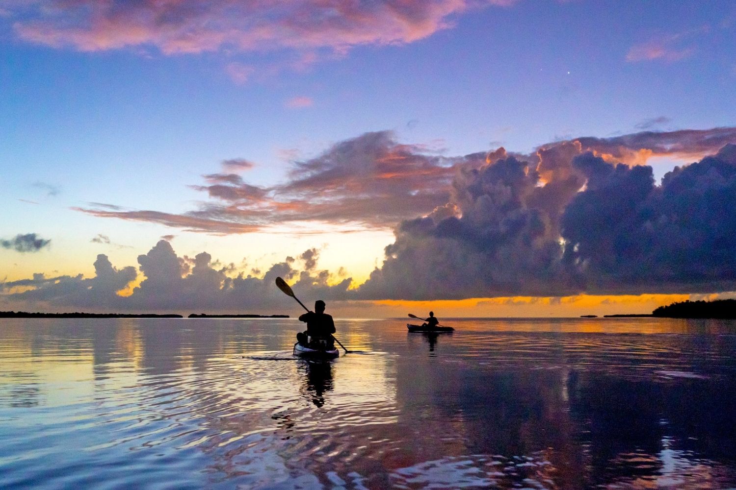 secrets-of-everglades-waters-revealed