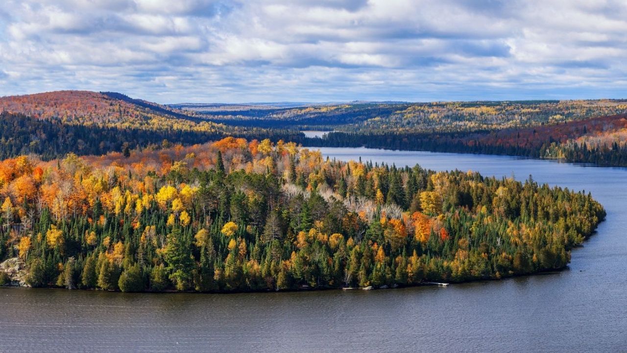 secrets-of-forest-trails-in-grand-marais-minnesota