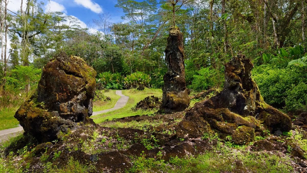 Secrets-Of-Hawaii8217s-Hidden-Lava-Tree-State-Monument secrets-of-hawaiis-hidden-lava-tree-state-monument