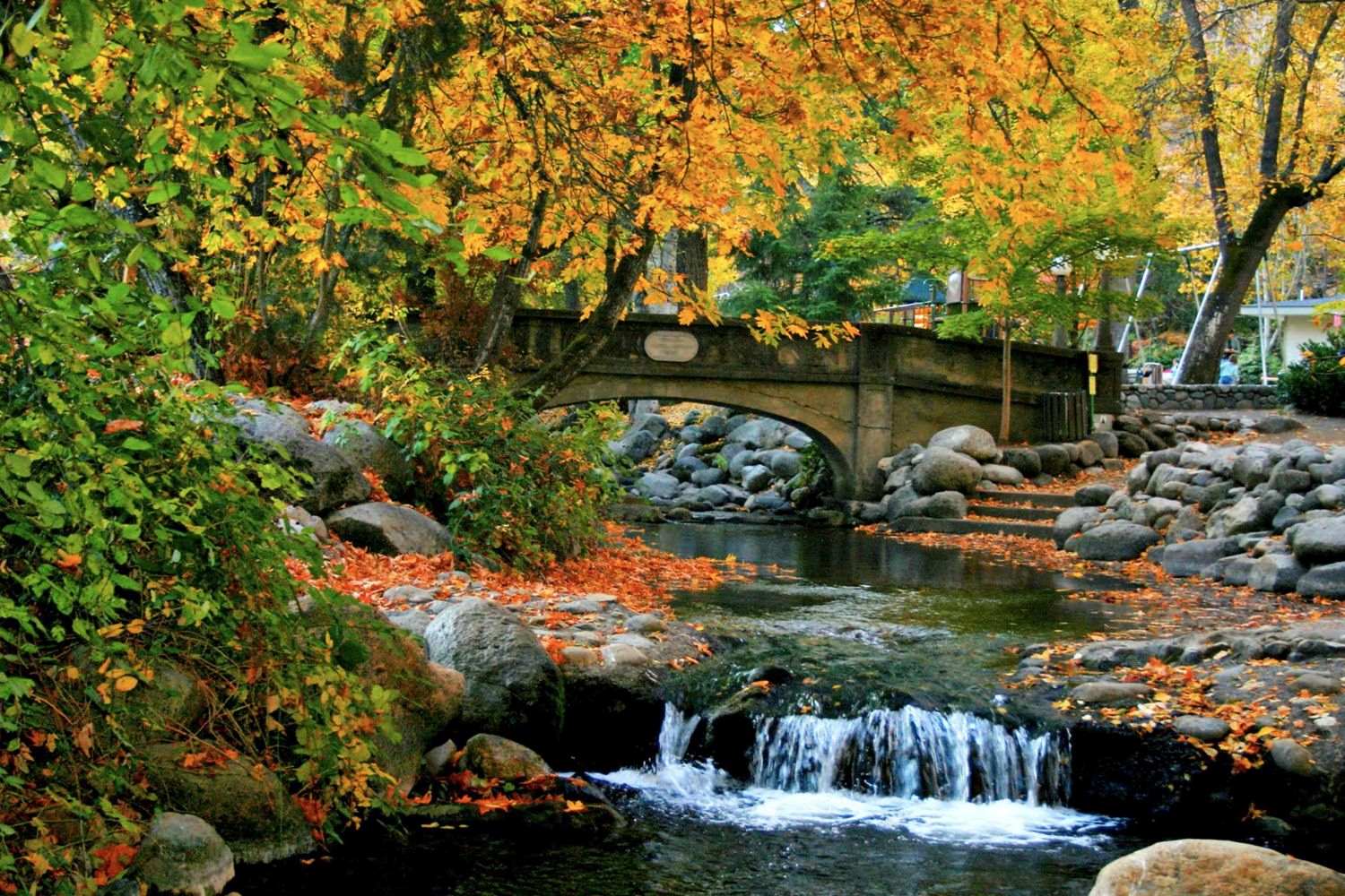 Secrets-Of-Hidden-Springs-In-Ashland-Oregon secrets-of-hidden-springs-in-ashland-oregon