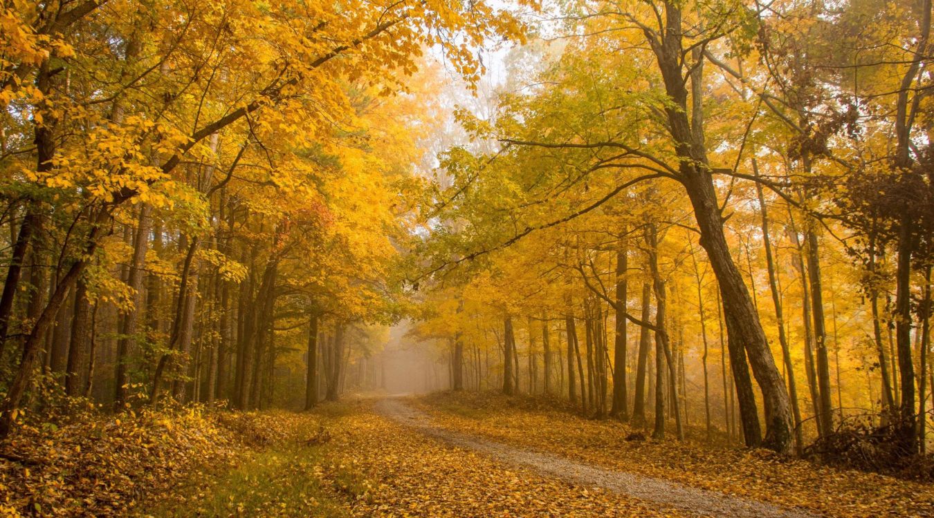 secrets-of-indianas-hoosier-national-forest