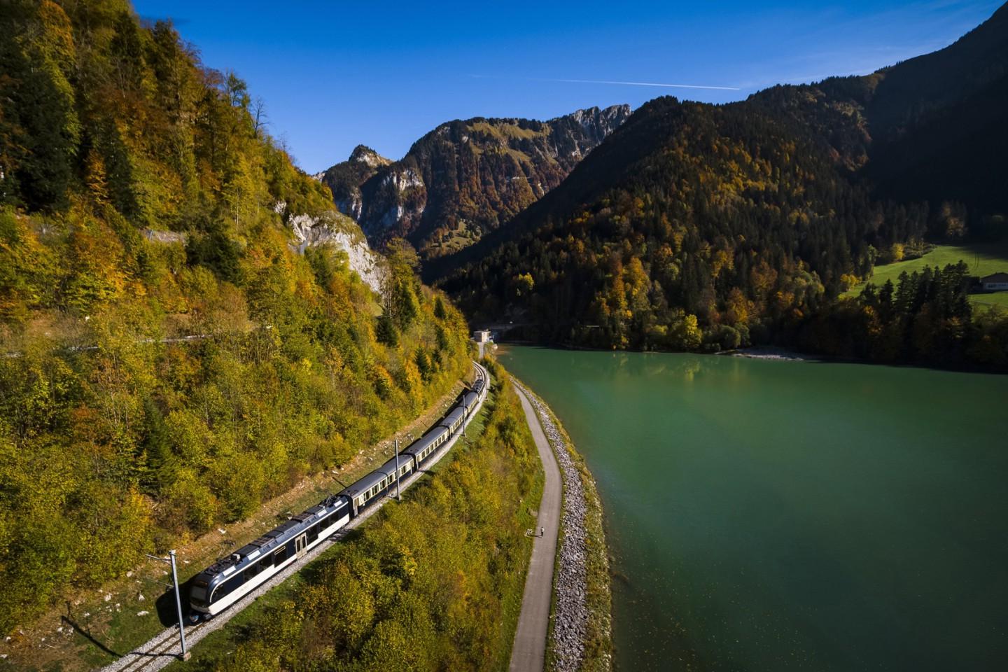 secrets-of-lake-genevas-forests