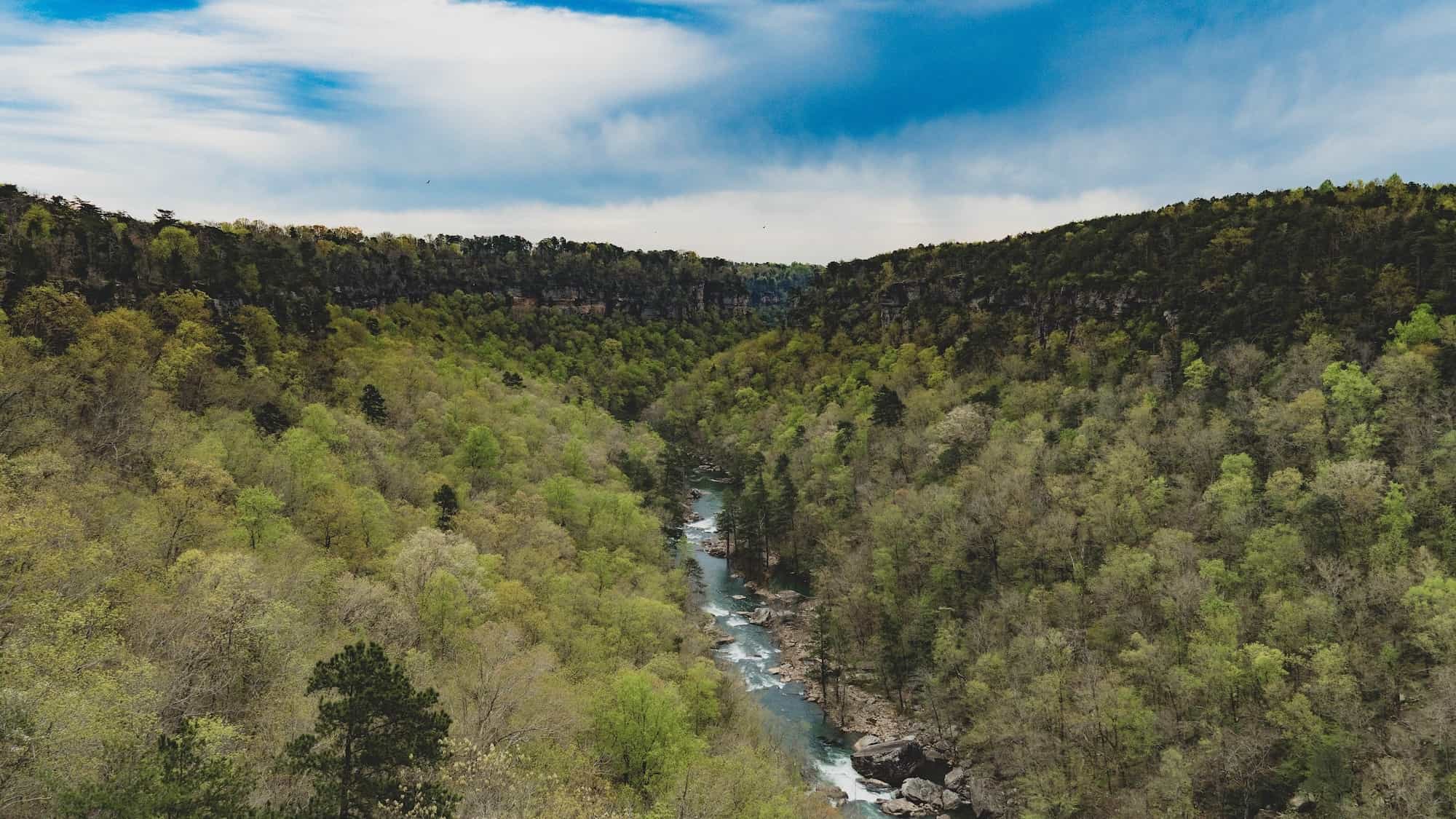 Secrets-Of-Mentone-Alabama8217s-Forests secrets-of-mentone-alabamas-forests