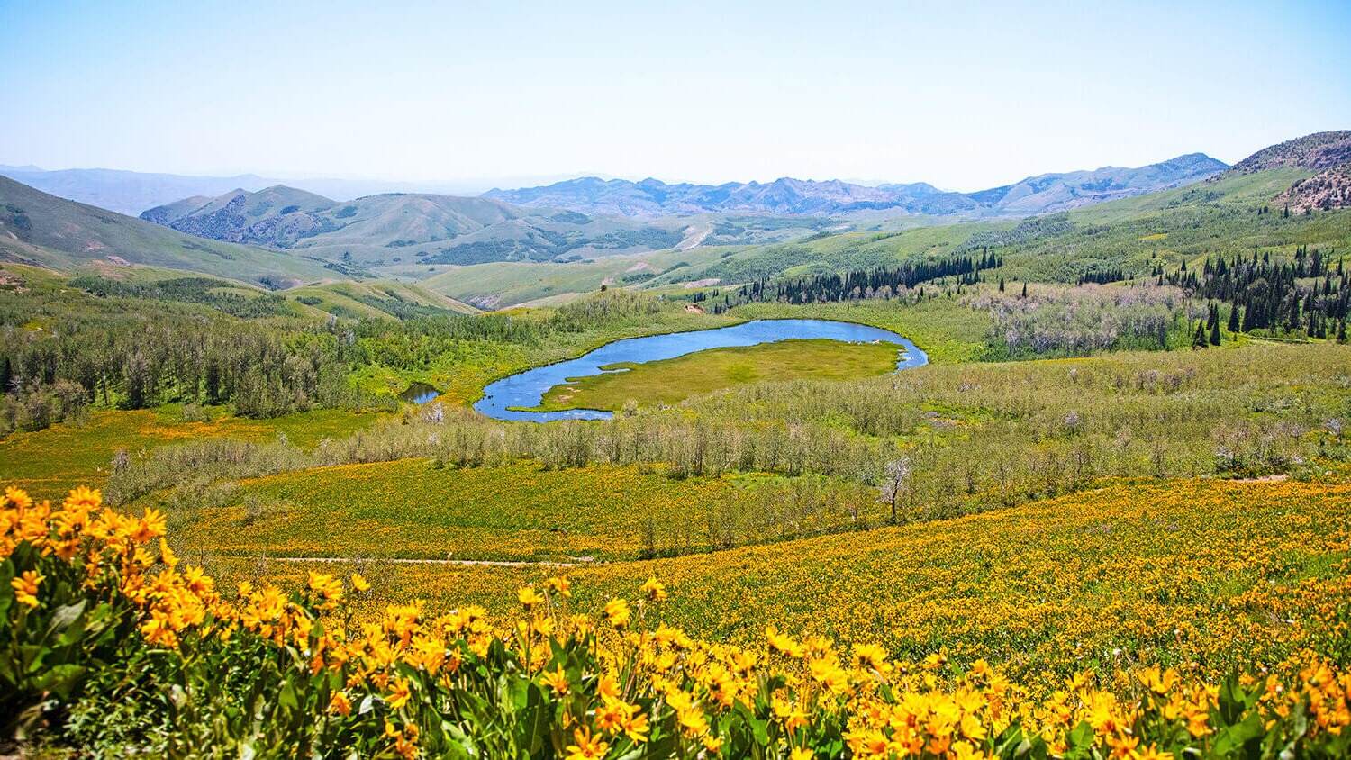secrets-of-nevadas-ruby-mountains-hanging-gardens