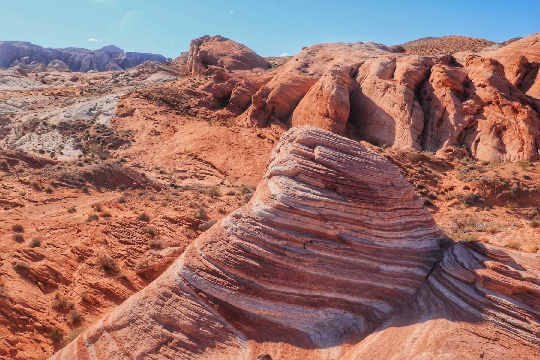 Secrets-Of-Nevada8217s-Valley-Of-Fire-Hanging-Gardens secrets-of-nevadas-valley-of-fire-hanging-gardens