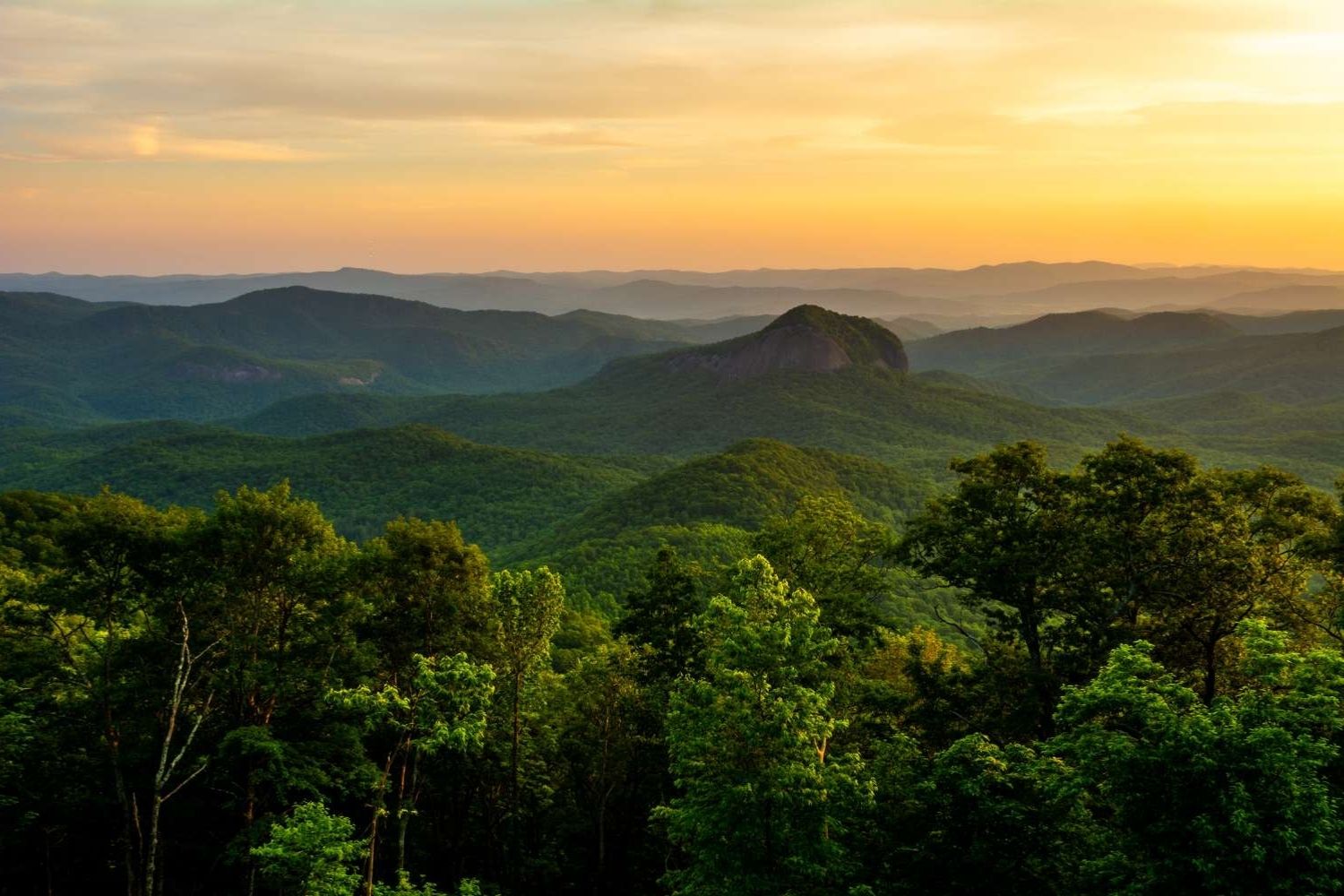 Secrets-Of-Pisgah8217s-Forest-In-North-Carolina secrets-of-pisgahs-forest-in-north-carolina