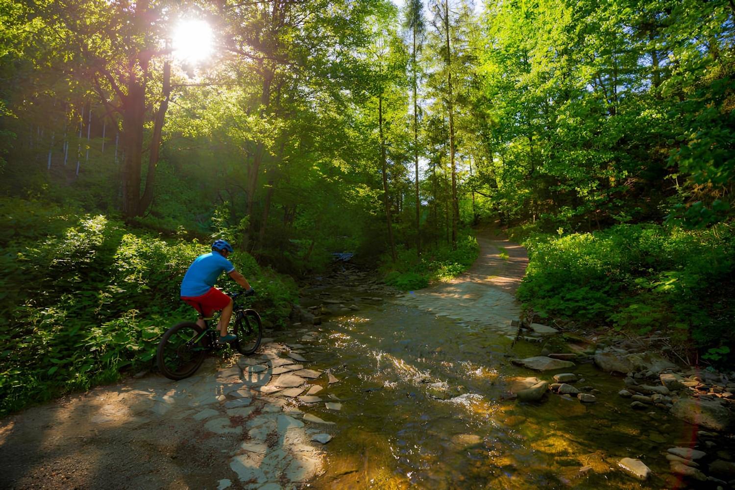Secrets-Of-Rockport-Massachusetts-Forests secrets-of-rockport-massachusetts-forests