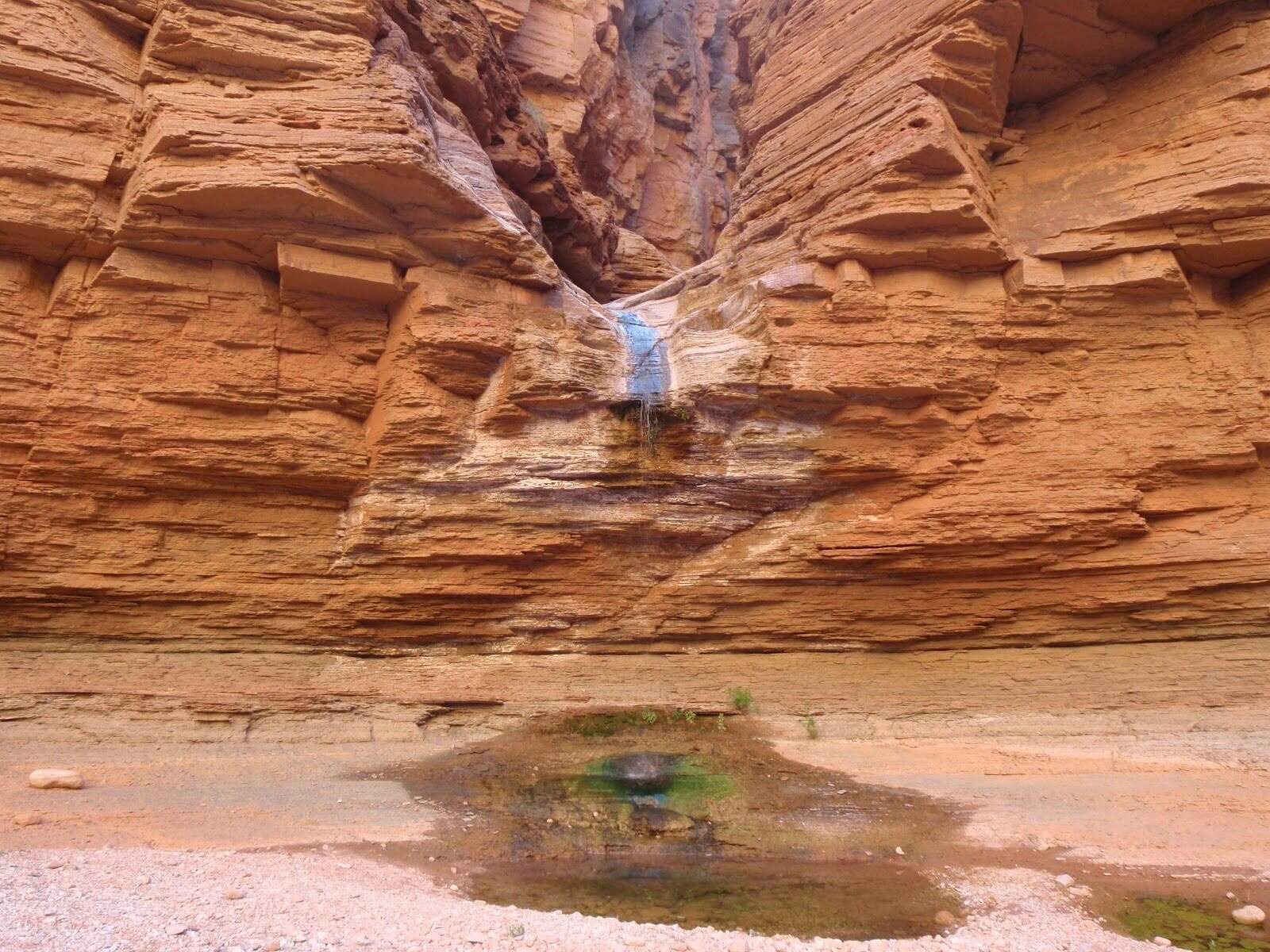 Secrets-Of-The-Grand-Canyon8217s-Whispering-Waterfall secrets-of-the-grand-canyons-whispering-waterfall
