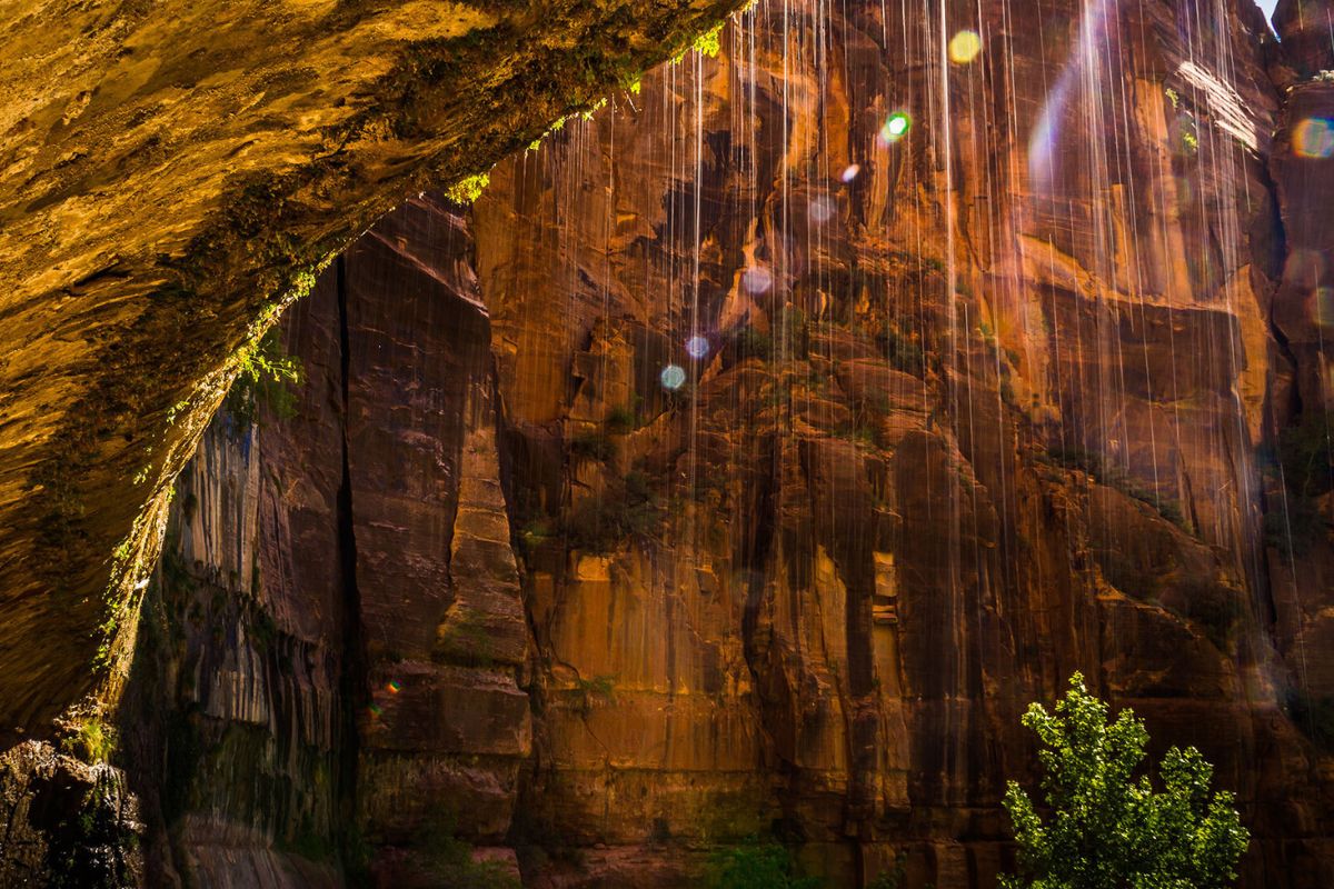 Secrets-Of-The-Hanging-Gardens-At-Weeping-Rock-Utah secrets-of-the-hanging-gardens-at-weeping-rock-utah
