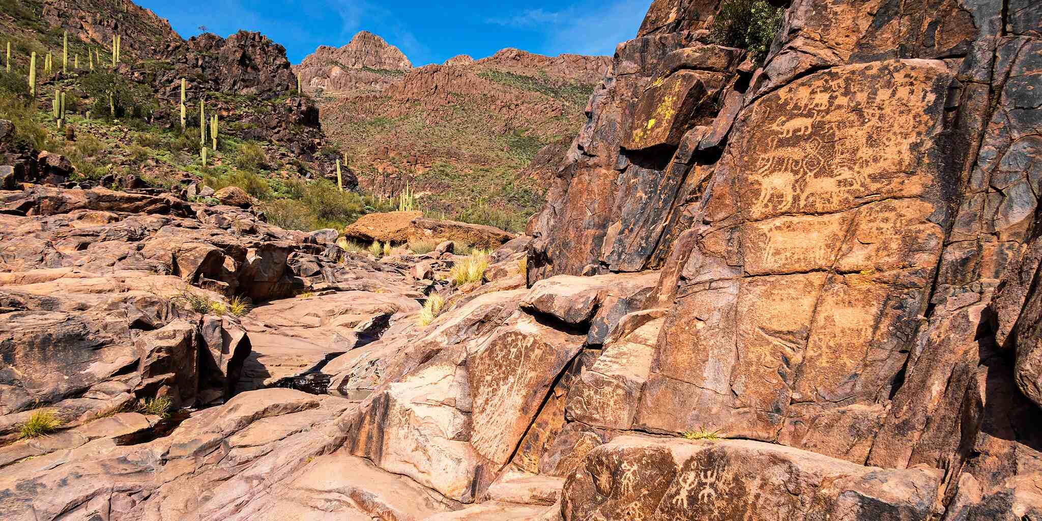 Secrets-Of-The-Hieroglyph-Canyons-In-The-Colorado-Plateau secrets-of-the-hieroglyph-canyons-in-the-colorado-plateau