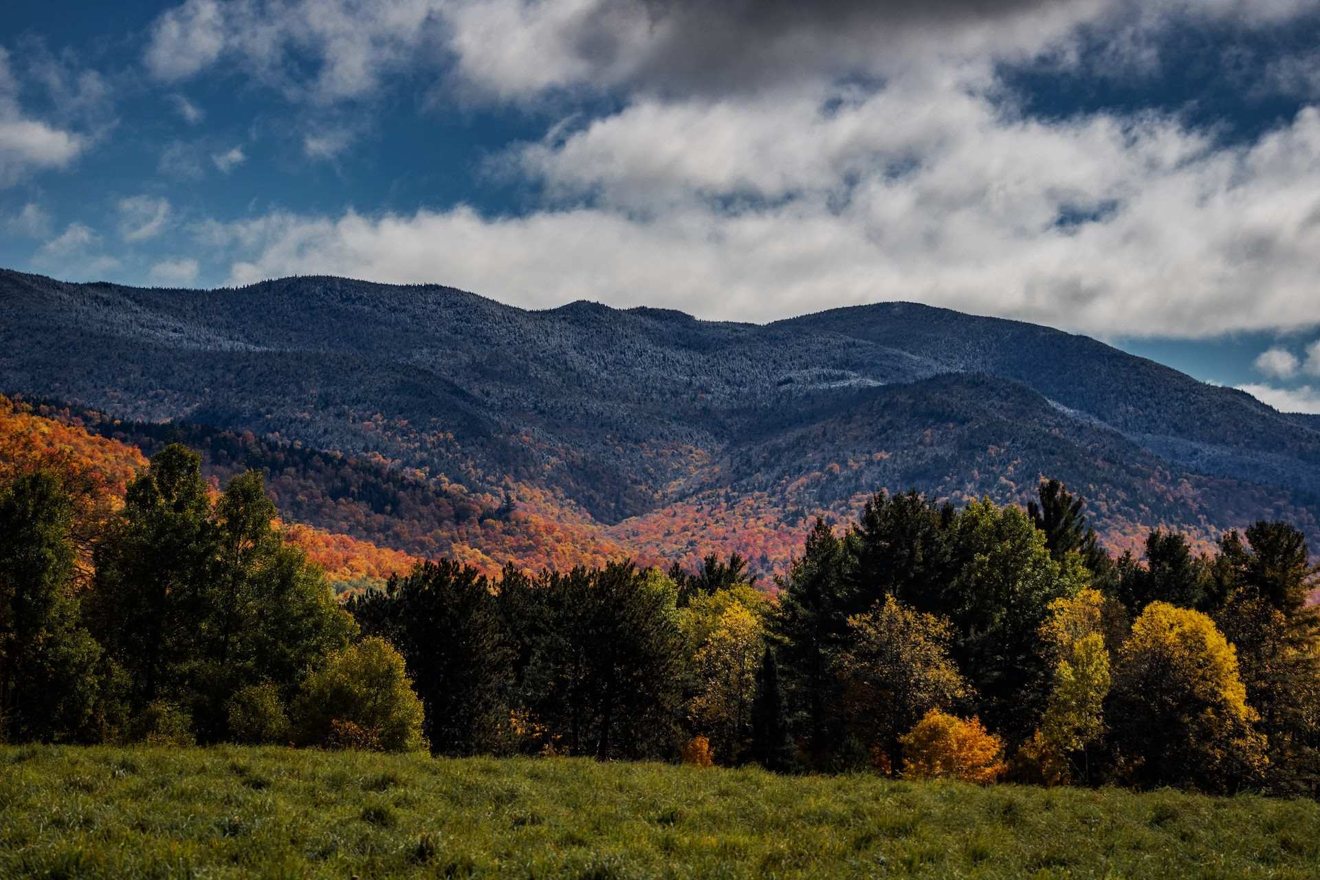 secrets-of-the-rangeley-maine-forests
