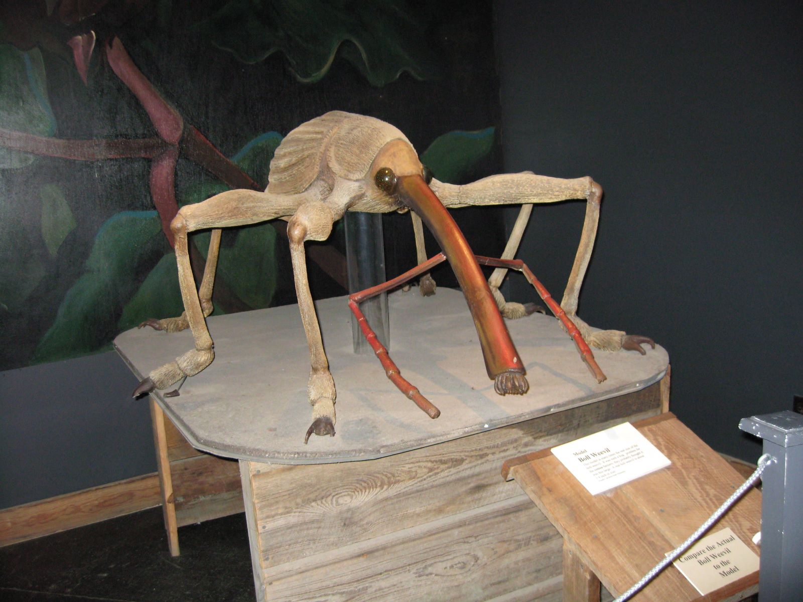 secrets-of-the-south-carolina-cotton-museums-legacy