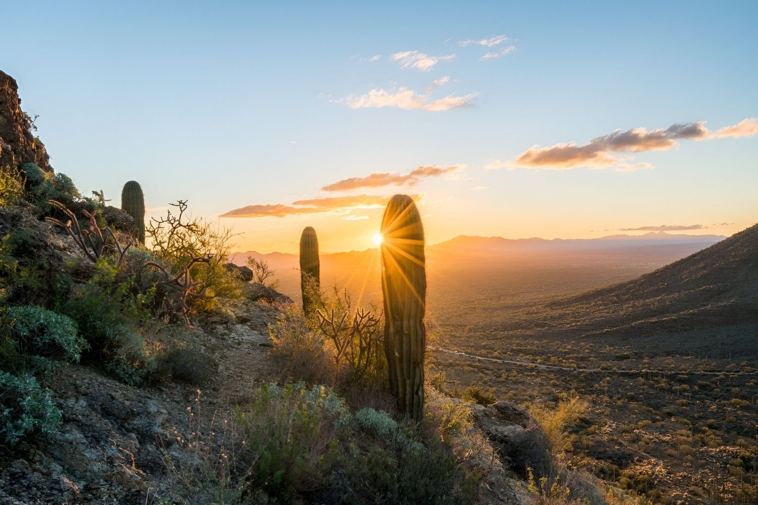 secrets-of-tucsons-barrio-trails