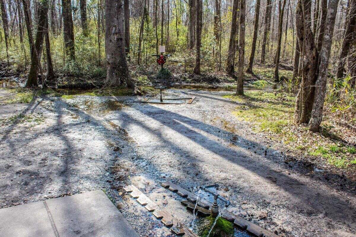 South-Carolina8217s-Mysterious-Healing-Waters-Deeded-To-God south-carolinas-mysterious-healing-waters-deeded-to-god