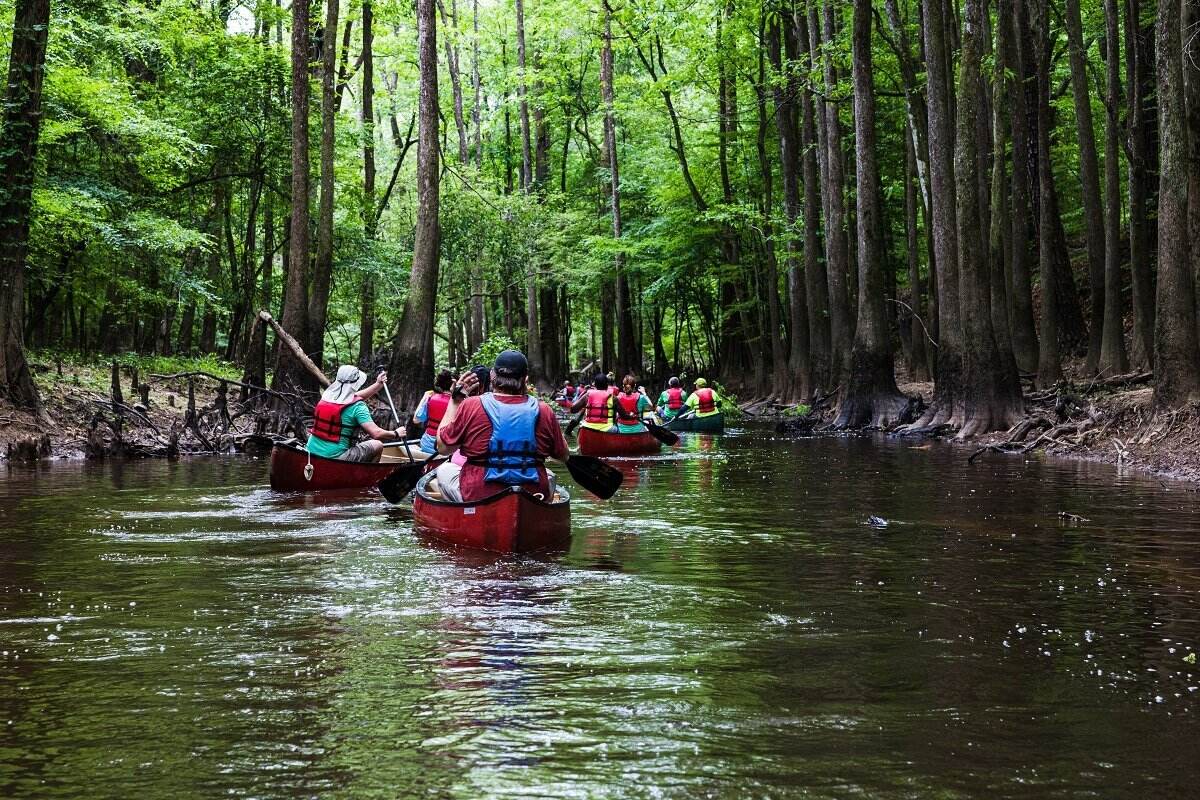 south-carolinas-secret-blackwater-swamp-canoe-adventure