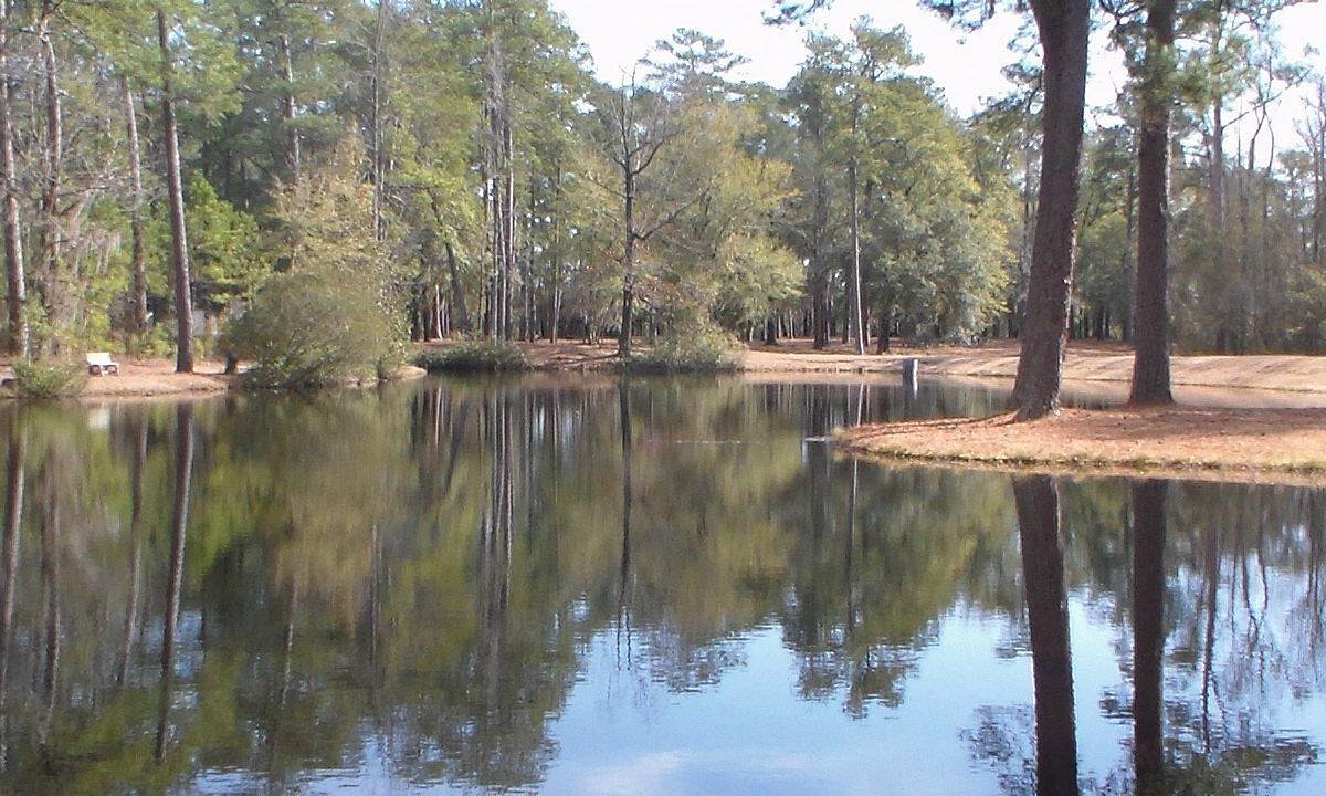 south-carolinas-secret-lee-state-park-springs-and-sandhills
