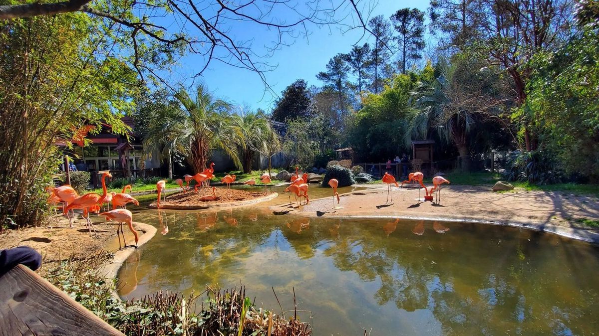 South-Carolina8217s-Secret-Riverbanks-Zoo-And-Garden south-carolinas-secret-riverbanks-zoo-and-garden