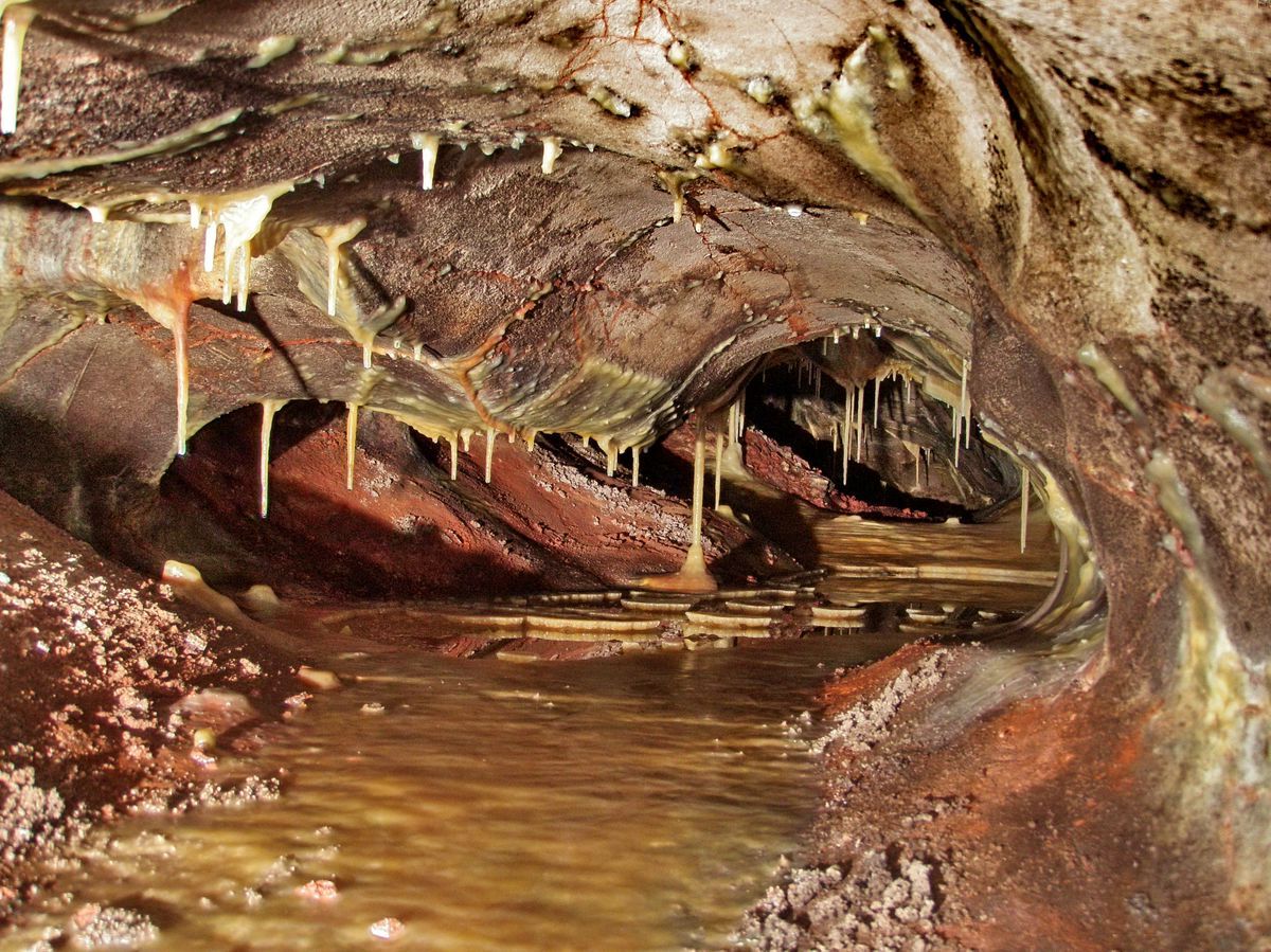 south-dakotas-secret-wind-cave-mystery