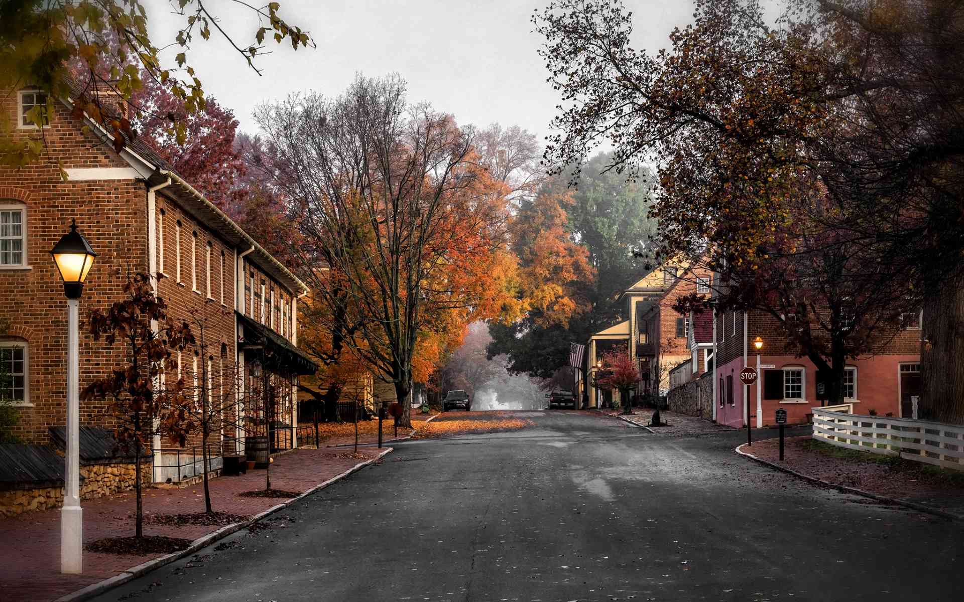Step-Back-In-Time-At-Old-Salem8217s-Moravian-Gardens step-back-in-time-at-old-salems-moravian-gardens
