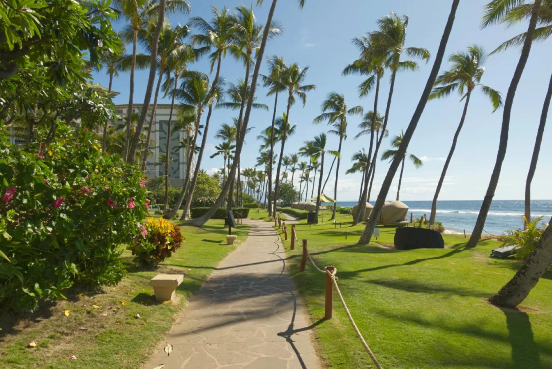 stroll-through-paradise-at-kaanapali-beach
