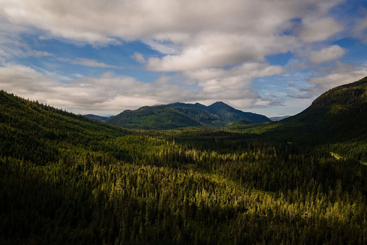 Tales-Hidden-In-Haines-Alaska8217s-Forests tales-hidden-in-haines-alaskas-forests