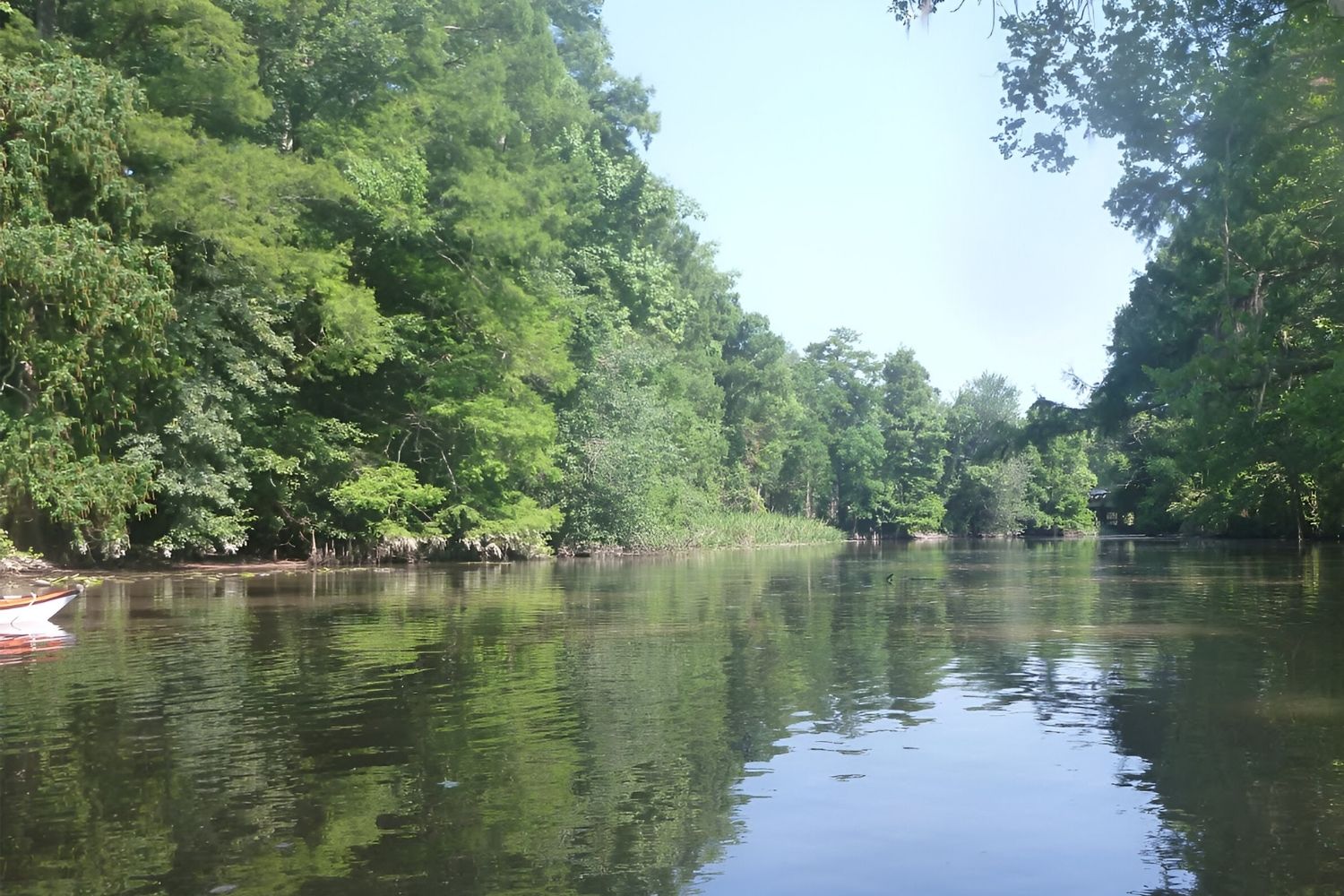 tales-of-the-natalbany-river-in-louisiana