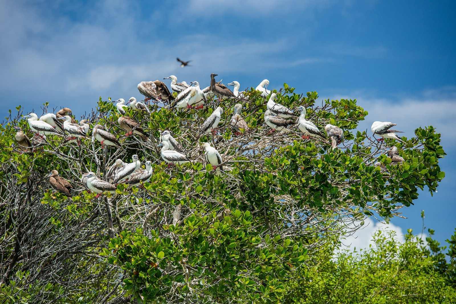 The-Secret-Birdwatching-Spots-In-Mexico-That-Only-Experts-Know the-secret-birdwatching-spots-in-mexico-that-only-experts-know