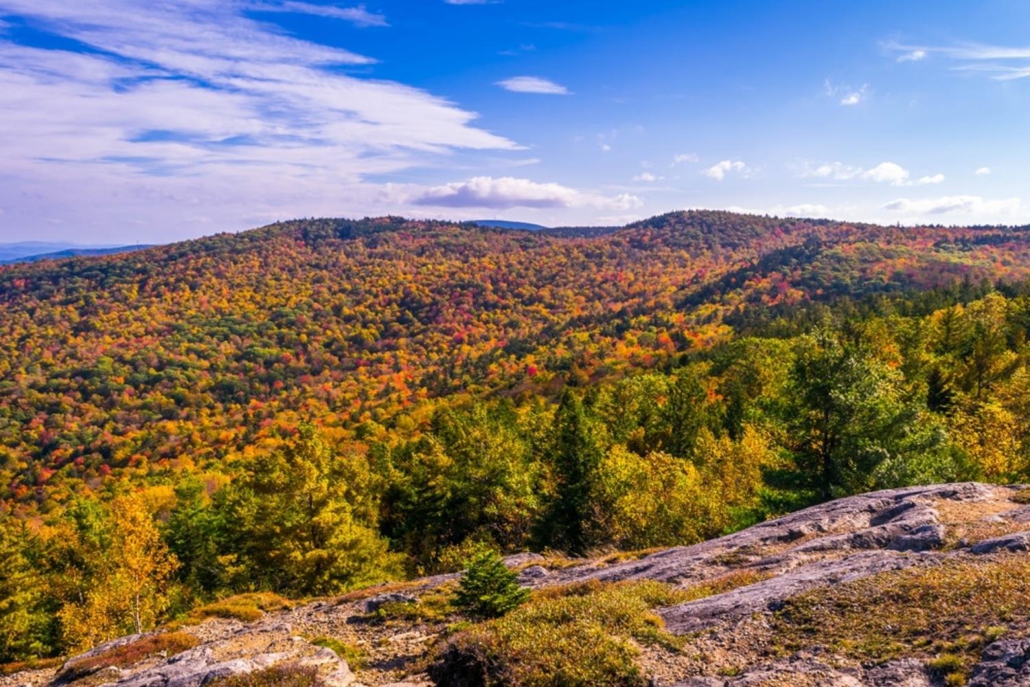 thrilling-adventures-await-at-altons-mount-major