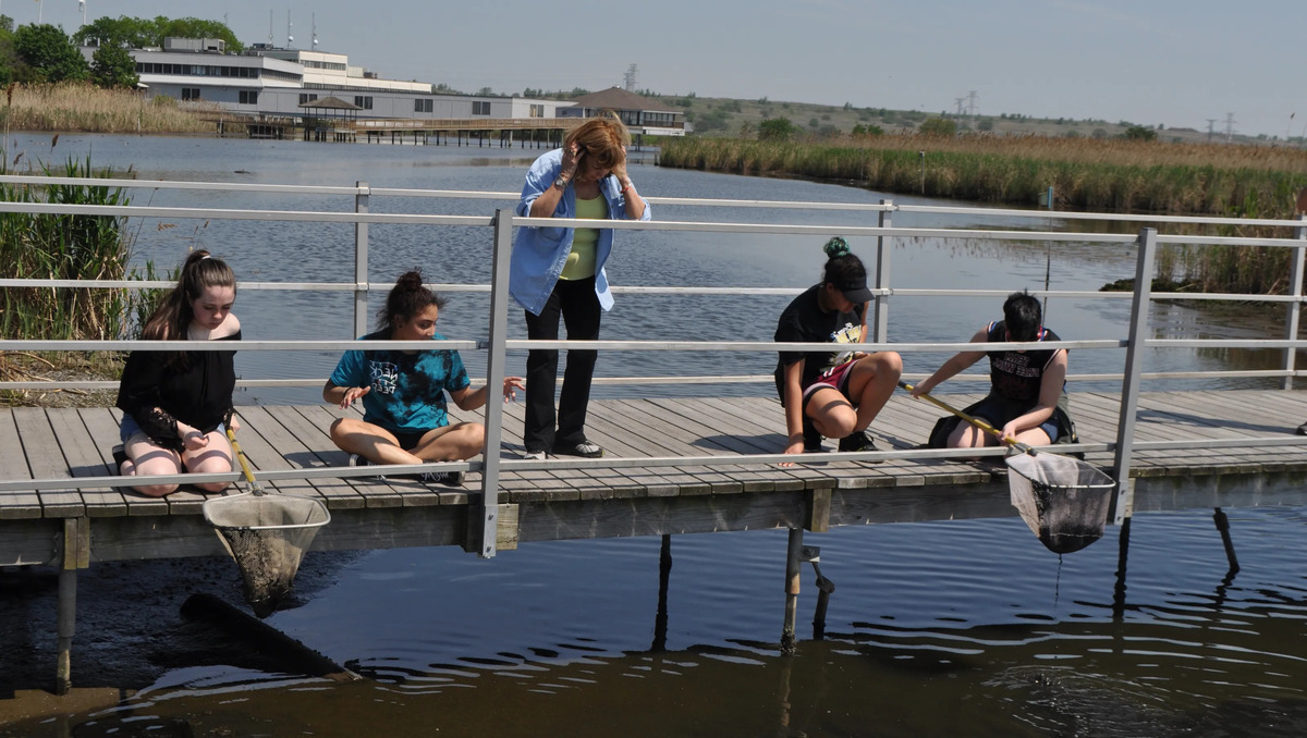 Thrilling-Science-Shows-At-Meadowlands-Environment-Center thrilling-science-shows-at-meadowlands-environment-center