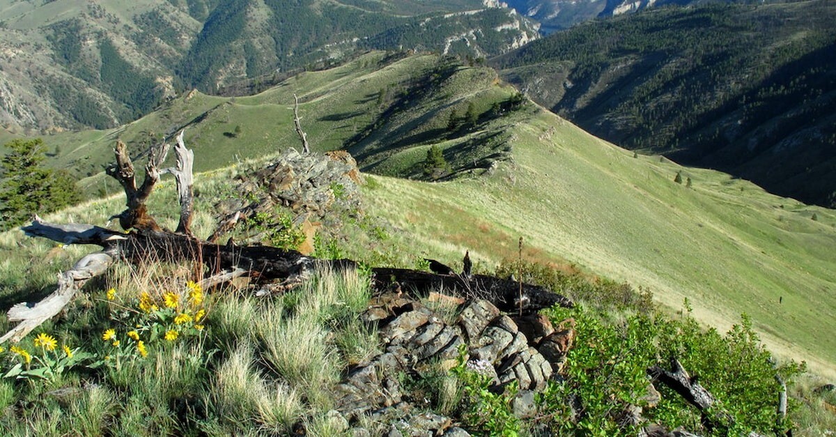 tragic-beauty-mann-gulch-fire-memorial