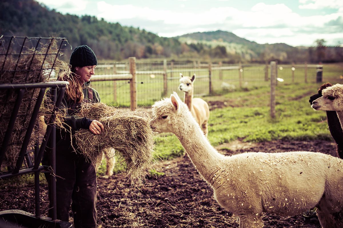 uncover-the-magic-of-hildenes-dene-farm