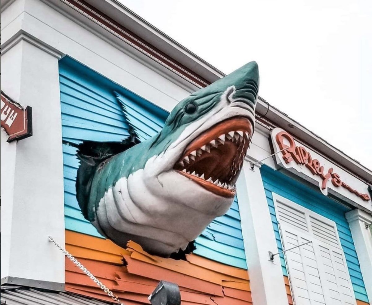 uncover-wonders-at-ocean-citys-ripleys-believe-it-or-not