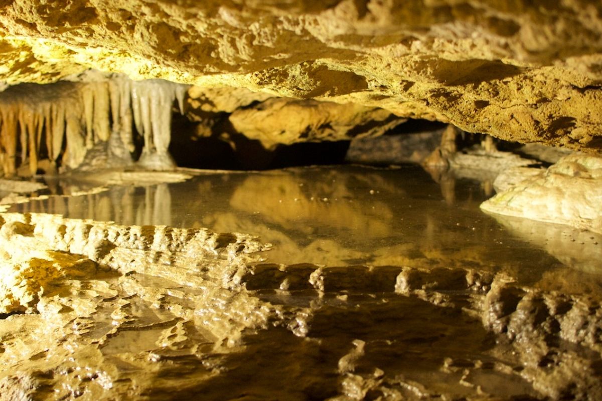 Unearth-The-Wonders-Of-Florida-Caverns-State-Park unearth-the-wonders-of-florida-caverns-state-park