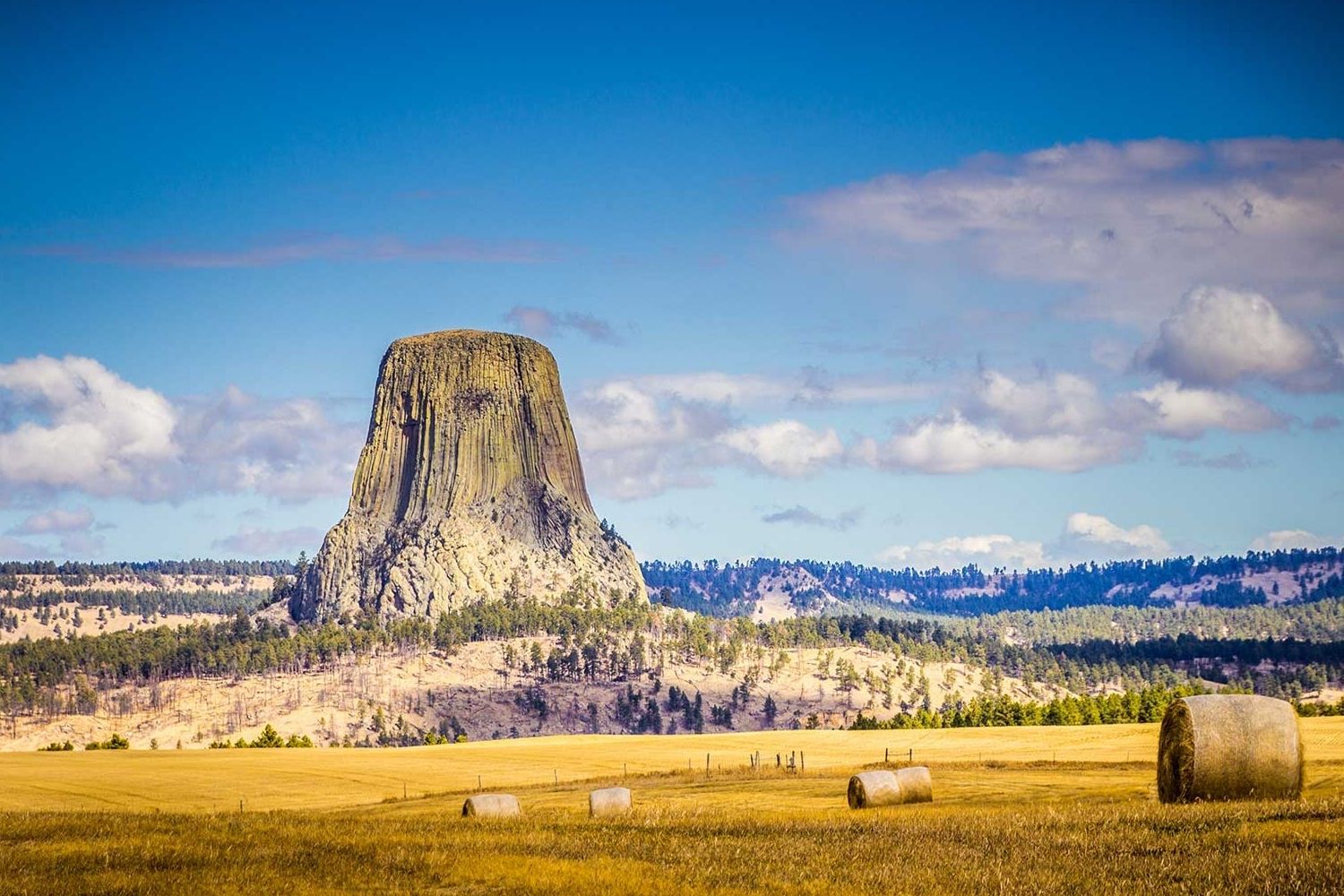 Unleash-Adventure-At-Hulett8217s-Devils-Tower-KOA unleash-adventure-at-huletts-devils-tower-koa